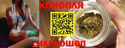 винт Будённовск